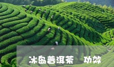 冰岛普洱茶 功效/2023041235240